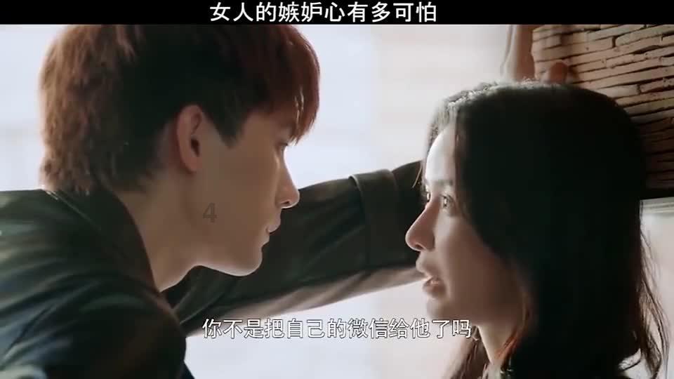 天鹅森林逃脱